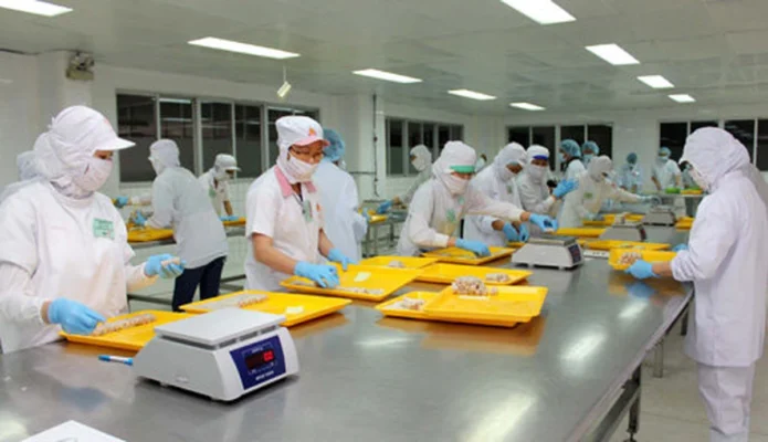CÔNG TY CẦU TRE